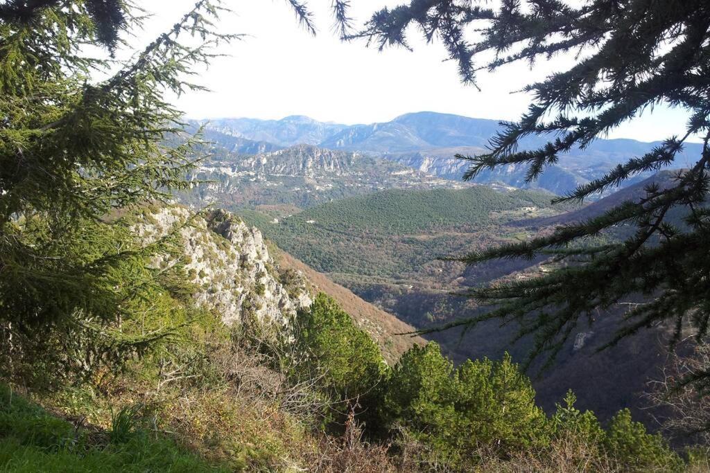 Joli Studio Entre Mer Et Montagne Proche De Nice Bouyon Kültér fotó